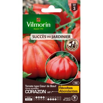 Tomate Cœur de bœuf Corazon HF1 - Exclusivité Vilmorin 