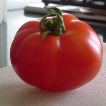 Marmande Organic Tomato
