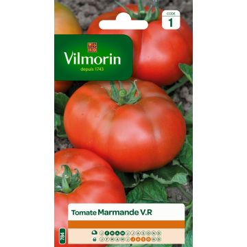 Marmande Tomato - Vilmorin seeds