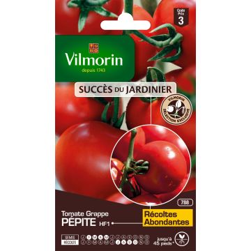 Tomate Pépite HF1 - Vilmorin