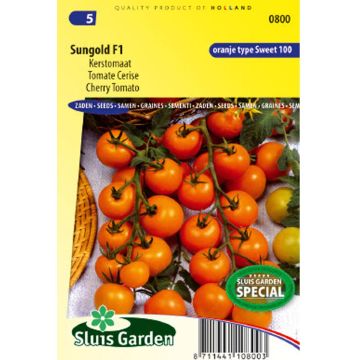 Sungold F1 Cherry Tomato