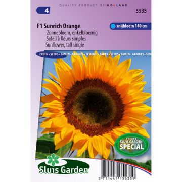 Sunflower Sunrich Orange F1 Seeds - Helianthus annuus