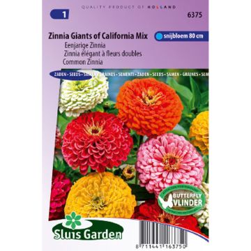 Zinnia California Giants Mix Seeds