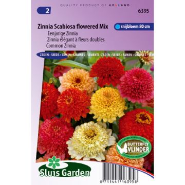 Zinnia elegans Scabiosa Flowered Mix