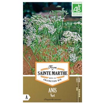 Organic Anise - Ferme de Sainte Marthe