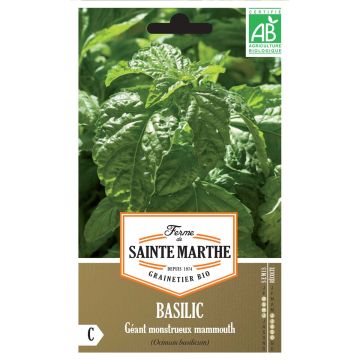 Mammoth Basil - Ferme de Sainte Marthe Seeds