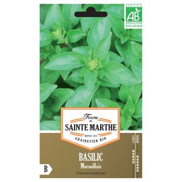 Marseille Basil - Ferme de Sainte Marthe Seeds