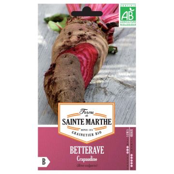 Crapaudine Beetroot - Ferme de Sainte Marthe Seeds