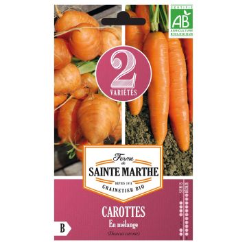 Carotte en mélange (Marché de Paris - Nantaise) - Bio - Ferme de Sainte Marthe