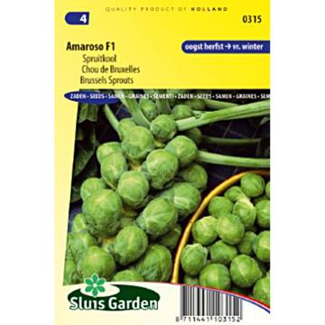 Brussels Sprout Amaroso F1 - Brassica oleracea gemmifera