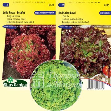 Collection of 3 organic cut salads