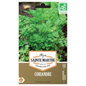 Coriandrum sativum 'Saint Marthe's Farm'