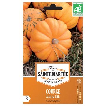 Miniature Pumpkin Jack Be Little - Ferme de Sainte Marthe Seeds
