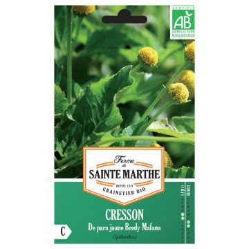 Cresson de Para jaune Bio - Bredy Mafana - Ferme de Sainte Marthe seeds