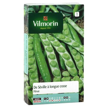 Broad bean Seville Long-Pod - Vilmorin seeds