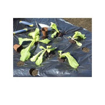 Pre-cut 30 micron black mulch film, 1.40 x 10 m (33ft)