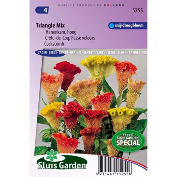 Cockscomb Triangle Mix Seeds - Celosia argentea Cristata