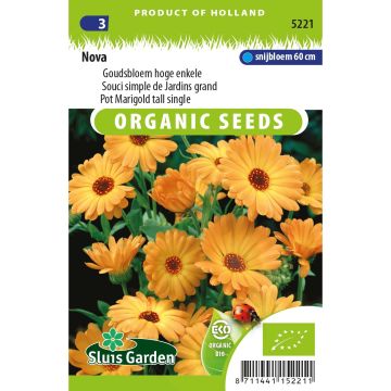 Single organic seeds of Calendula or Orange Marigold