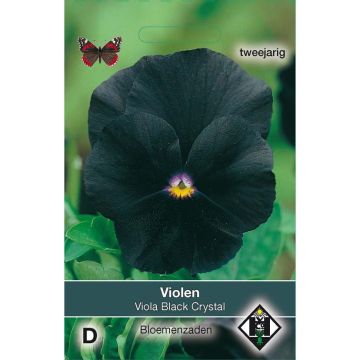 Viola - Pansy Black Crystal Seeds
