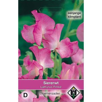 Lathyrus odoratus Pinkie - Sweet Pea Seeds