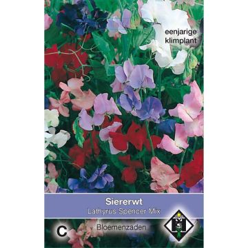 Lathyrus odoratus Spencer mix - Sweet Pea Seeds