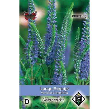 Garden speedwell Seeds - Veronica longifolia