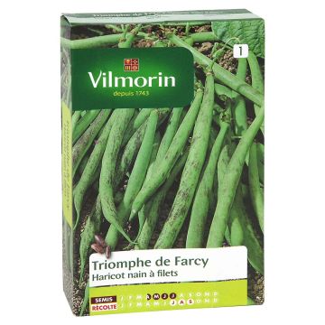Dwarf Bean with Net Triomphe de Farcy - Vilmorin seeds