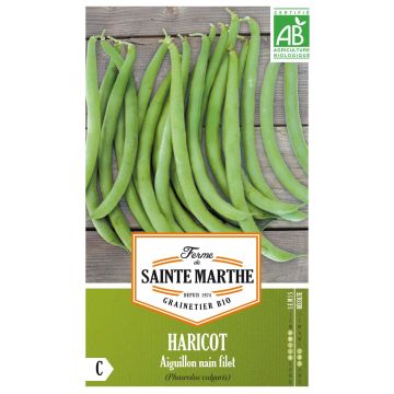 Haricot Aiguillon sans fil vert foncé Bio – Top 50 - Ferme de Sainte Marthe