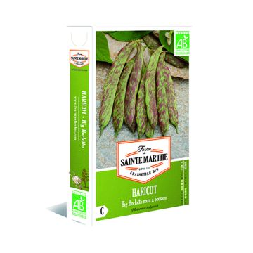 Dwarf Bean for Shelling Big Borlotto - Ferme de Sainte Marthe seeds