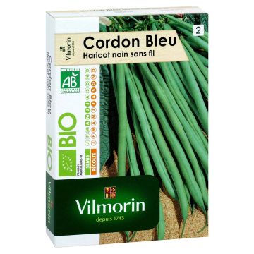 Dwarf Bean with Net Cordon Bleu - Vilmorin seeds