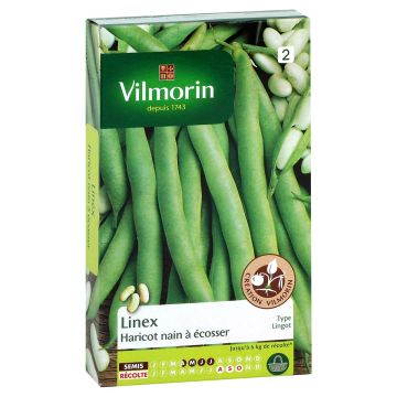 Dwarf shelling bean Linex - Vilmorin seeds