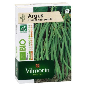 Dwarf Bean with Net Argus - Vilmorin seeds