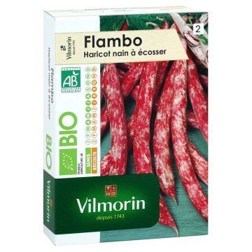 Dwarf Bean for Shelling Flambo - Vilmorin seeds