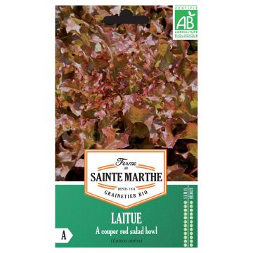 Loose leaf Lettuce Red Salad Bowl - Ferme de Sainte Marthe seeds
