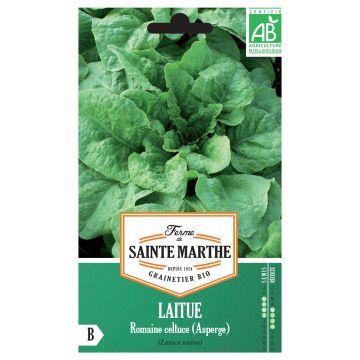 Celtuce - Ferme de Sainte Marthe seeds