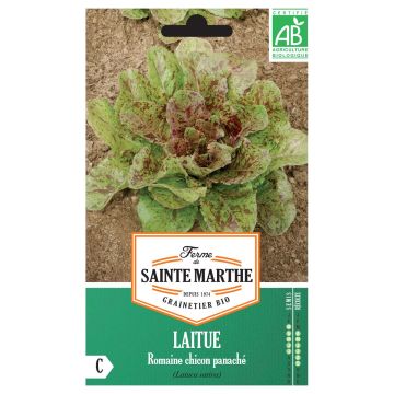 Romaine Lettuce Chicon Panaché - Ferme de Sainte Marthe seeds