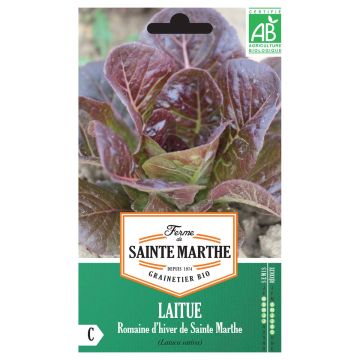 Romaine Lettuce dHiver de Sainte Marthe - Ferme de Sainte Marthe seeds