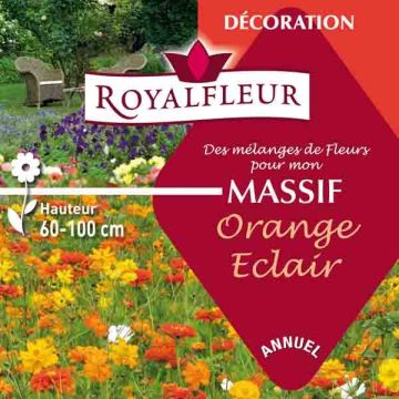 Mix for a bright orange flower bed - Packet to cover 3.5m2