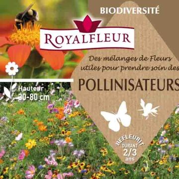 Mix for attracting pollinators - Box for 8m2