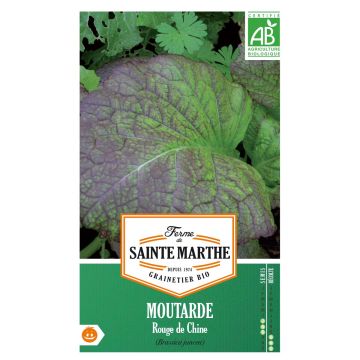 Organic Red Mustard seeds - Ferme de Sainte Marthe seeds - Brassica juncea