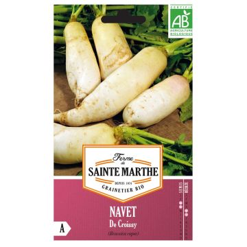 Turnip De Croissy - Ferme de Sainte Marthe Seeds