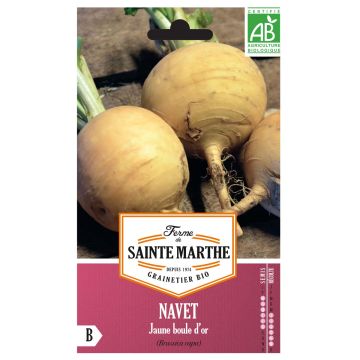 Turnip Golden Ball - Ferme de Sainte Marthe Seeds