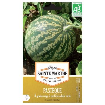 Organic Watermelon for Candying Green Flesh - Ferme de Sainte Marthe seeds - Citrullus lanatus