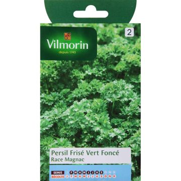 Dark green curly parsley breed Magnac - Vilmorin seeds