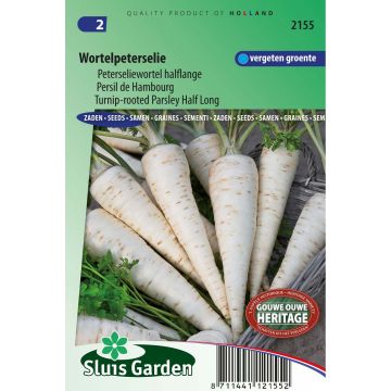 Hamburg Parsley - Turnip-rooted Parsley