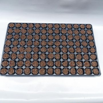 Fertiss 3 x 3cm (1x 1in) Tray and Plugs Kit: 104 Plug Tray