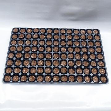 Fertiss 3 x 5cm (1x 2in) Tray and Plugs Kit: 104 Plug Tray