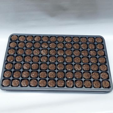 Fertiss 3.2 x 3.5cm (1x 1in) Tray and Plugs Kit: 84 Plug Tray