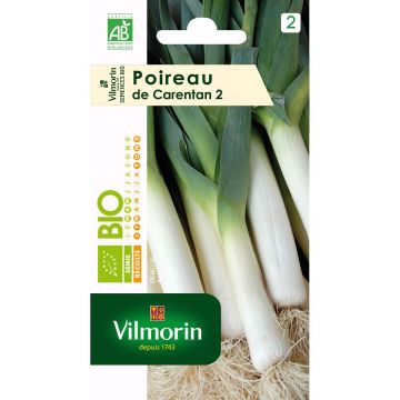 Organic Carentan 2 Leek - Vilmorin seeds - Allium porrum