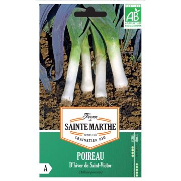 Leek De Saint Victor - Ferme de Sainte Marthe Seeds